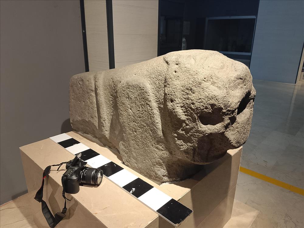 Our Faculty Member Assoc. Prof. Dr. Ali Özcan Conducted Research at the Sivas Archaeology Museum
